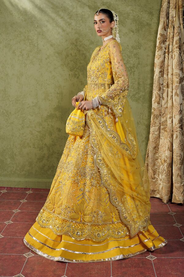 RHP02507 Maryam's Maahi Festive Collection 2026 - MM-03 Meena