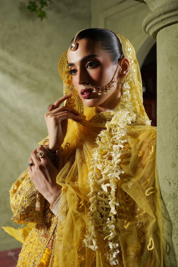 Rhp02534 Maryam's Maahi Festive Collection 2026 - MM-03 Meena– RHP02534