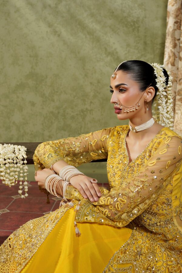 Rhp02560 Maryam's Maahi Festive Collection 2026 - MM-03 Meena– RHP02560