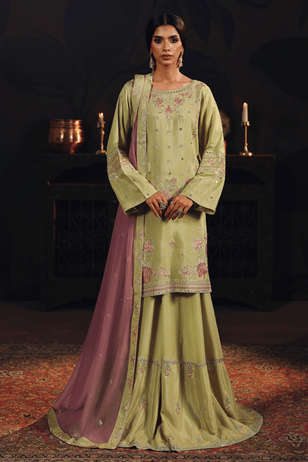 Ramsha-suroor-resized-data-27 Ramsha Suroor Party Dress SR-105 Chambeli