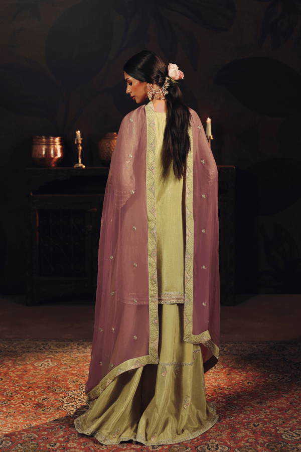 Ramsha-suroor-resized-data-31 Ramsha Suroor Party Dress SR-105 Chambeli– Ramsha-suroor-resized-data-31