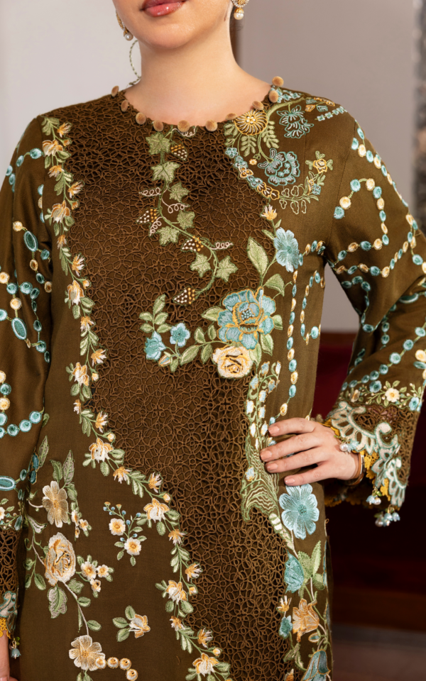 Wlxu-02_4 Asifa & Nabeel Plush Luxury Winter 26 Hazel Hue (WLXU-02) | 3pcs Embroidered Unstitched Winter– WLXU-02 4