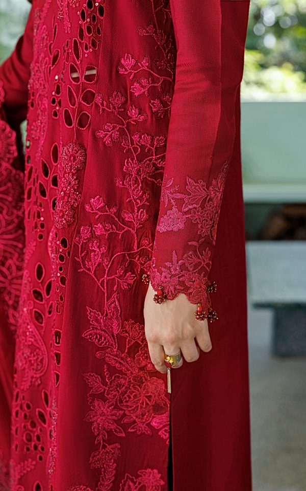 Wlxu-04_5 Asifa & Nabeel Plush Luxury Winter 26 Velvet Aria (WLXU-04) | 3pcs Embroidered Unstitched Winter– WLXU-04 5