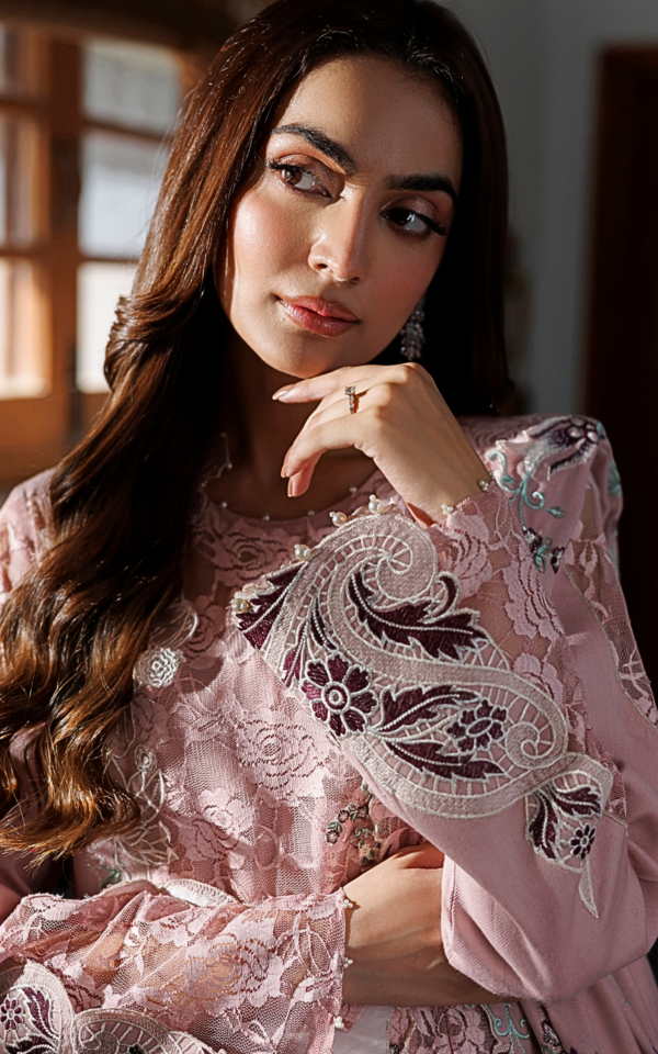 Wlxu-07_5 Asifa & Nabeel Plush Luxury Winter 26 Winter Rose (WLXU-07) | 3pcs Embroidered Unstitched Winter– WLXU-07 5