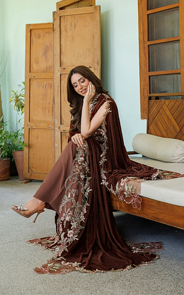 Wlxu-10_6 Asifa & Nabeel Plush Luxury Winter 26 Ferin (WLXU-10) | 3pcs Embroidered Unstitched Winter– WLXU-10 6