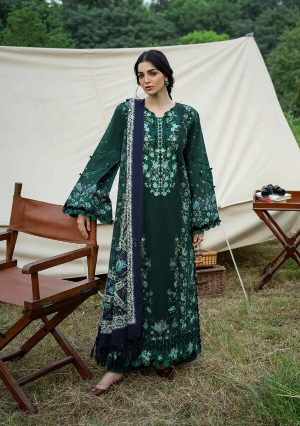st1csqv6chnrkl5q0feu Elaf Wilderness Pashmina Shawl Edit 26 EWR-1A WINTERMINT